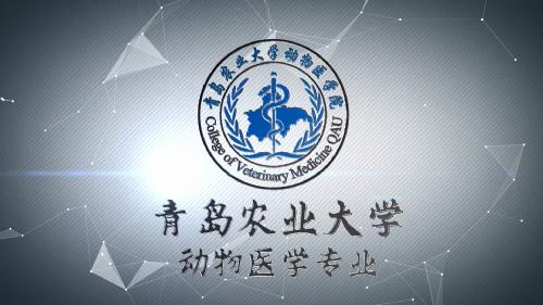 动物医学专业2020招生宣传